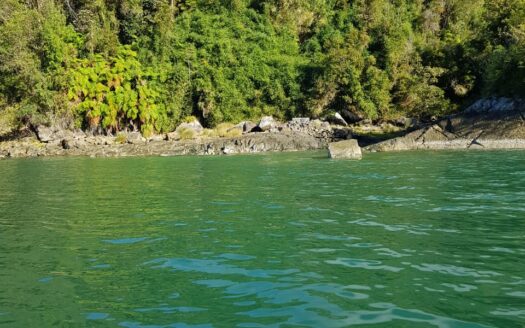 Reserva Natural en Cochamo