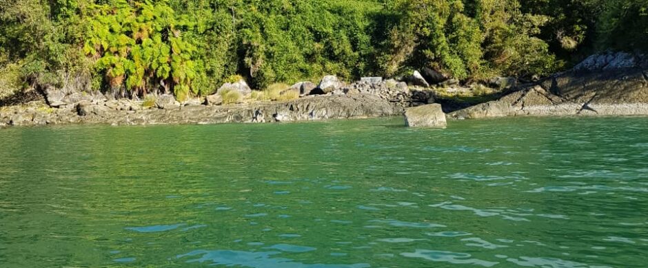 Reserva Natural en Cochamo