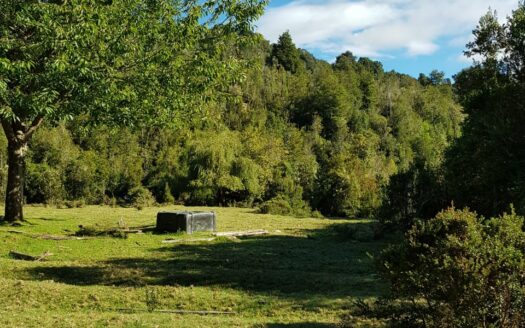 Reserva Natural en Cochamo