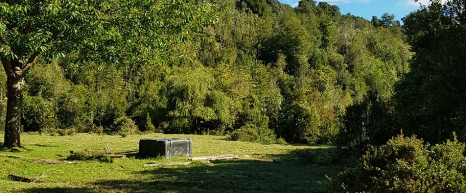Reserva Natural en Cochamo