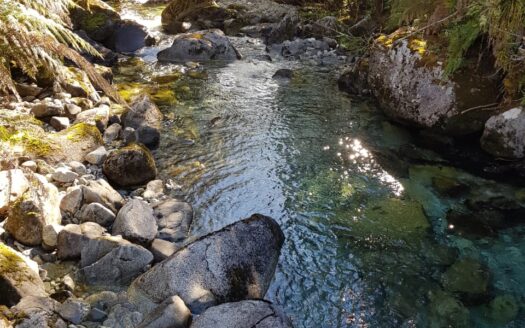 Reserva Natural en Cochamo