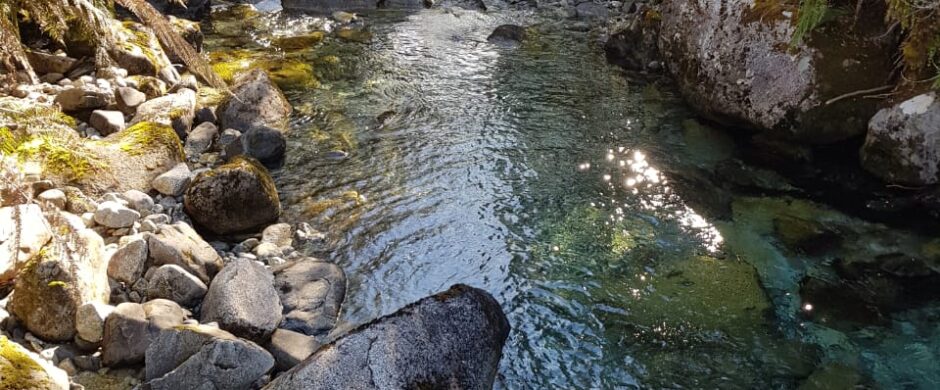 Reserva Natural en Cochamo