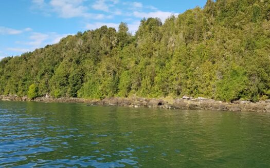 Reserva Natural en Cochamo