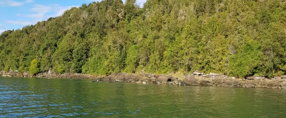 Reserva Natural en Cochamo