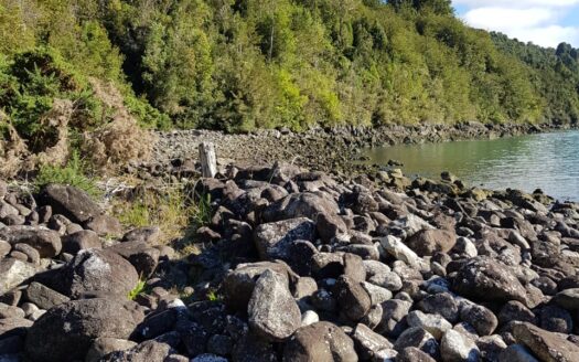 Reserva Natural en Cochamo