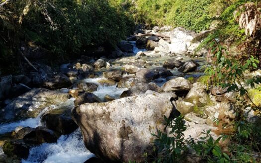 Reserva Natural en Cochamo