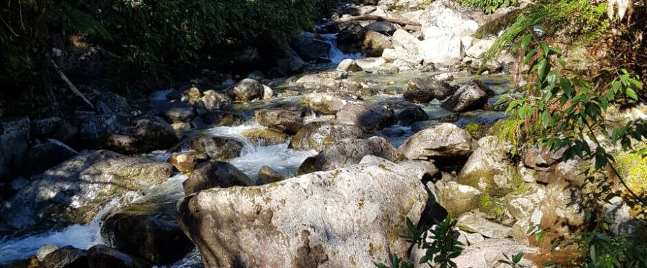 Reserva Natural en Cochamo