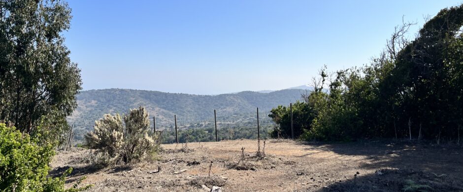 Campo en Cachagua.