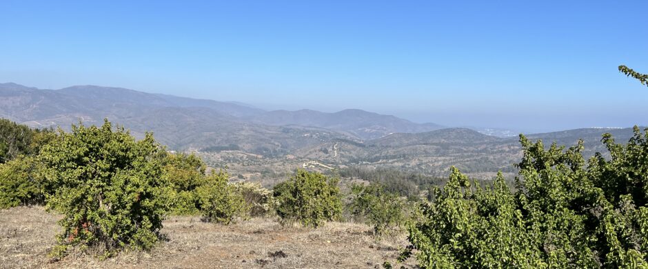 Campo en Cachagua.