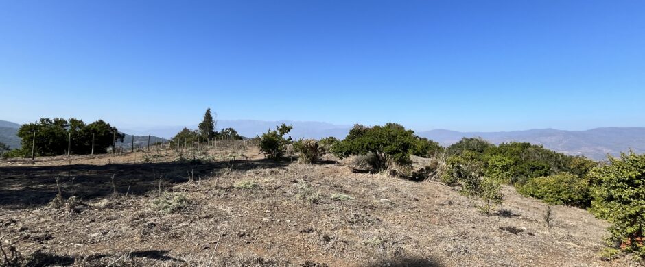 Campo en Cachagua.