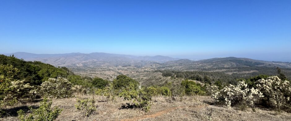 Campo en Cachagua.