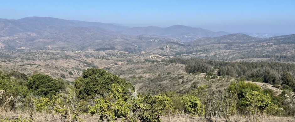 Campo en Cachagua.
