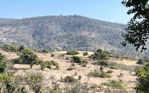 Campo en Cachagua.
