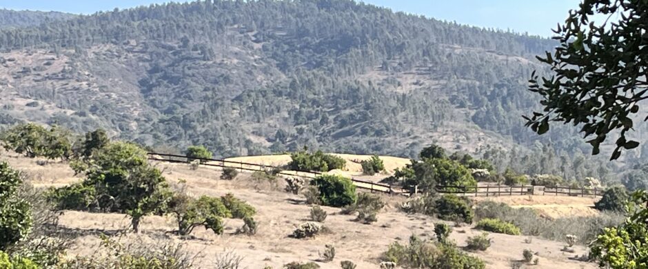 Campo en Cachagua.
