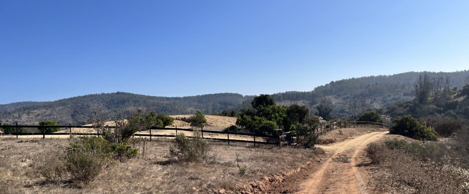 Campo en Cachagua.